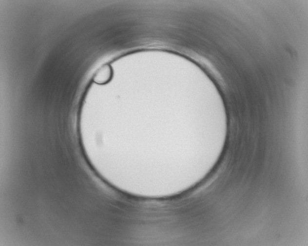 X0000115051424200911231144