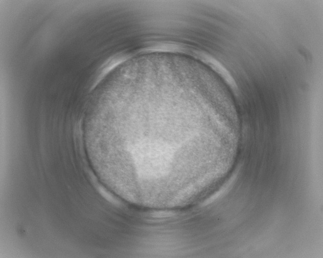 X0000115051425200911231144