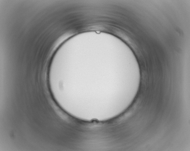 X0000115051426200911231144