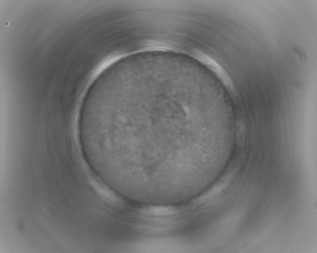 X0000115051427200911231144