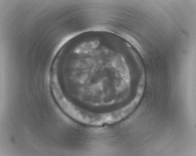 X0000115051428200911231144