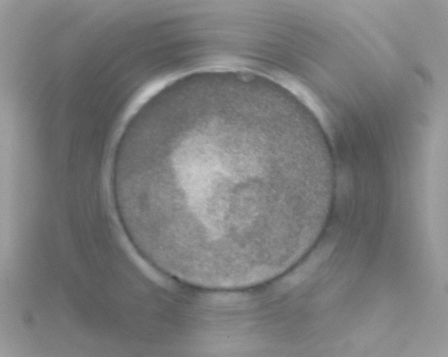 X0000115051429200911231144