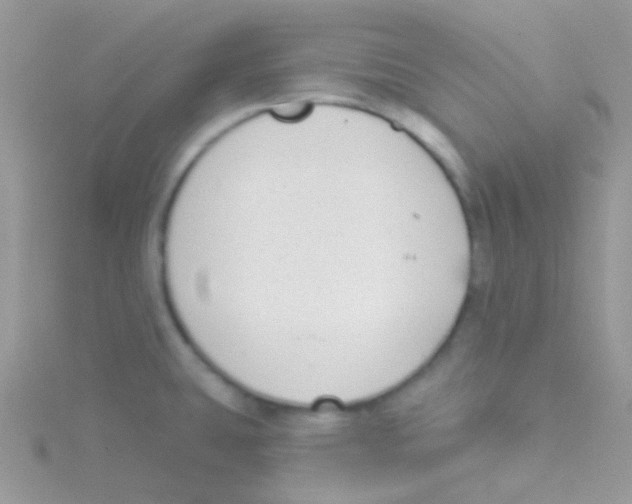 X0000115051431200911231144