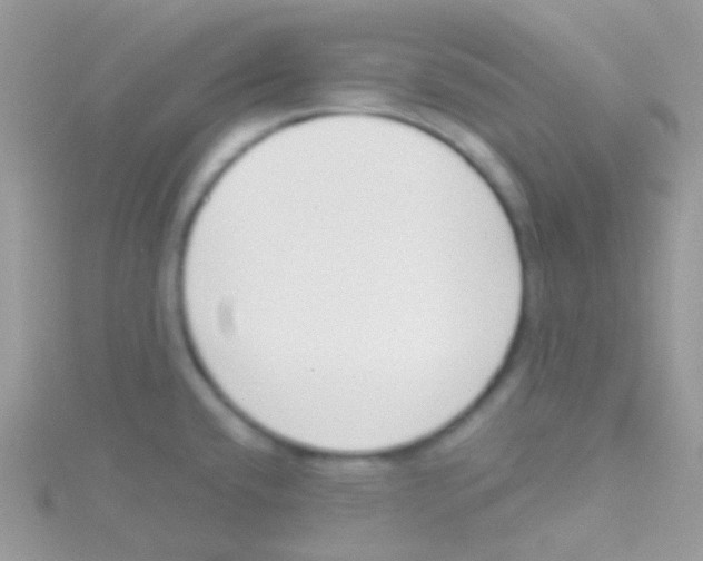 X0000115051432200911231144