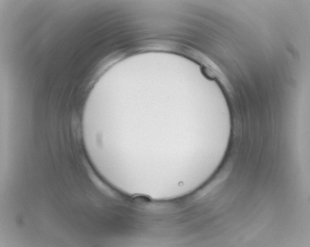 X0000115051433200911231144