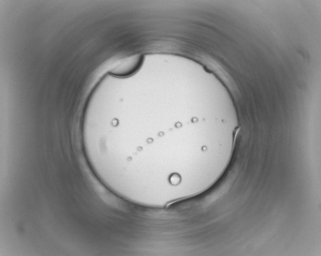 X0000115051434200911231144