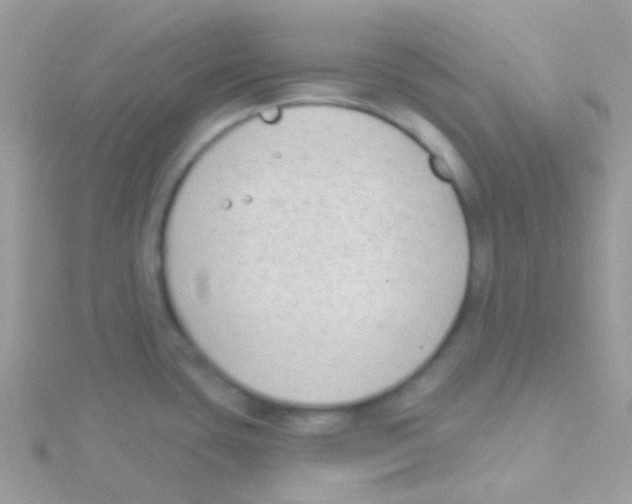 X0000115051435200911231144