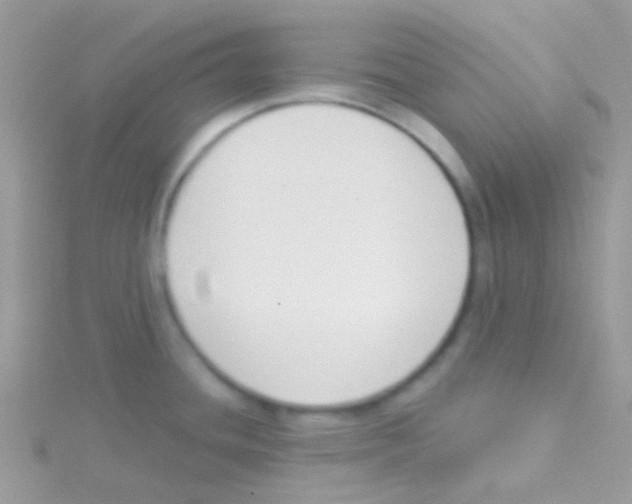 X0000115051436200911231144