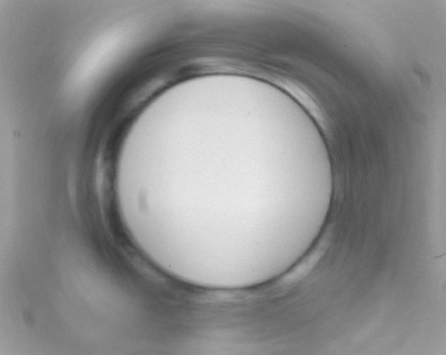 X0000115051438200911231144