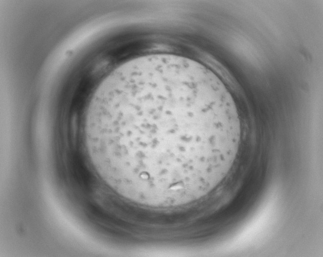 X0000115051439200911231144