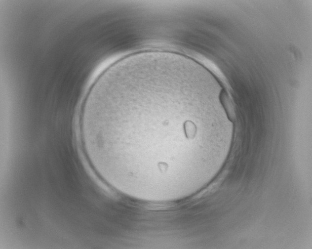 X0000115051440200911231144