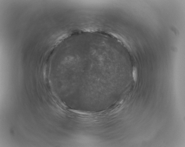 X0000115051444200911231143