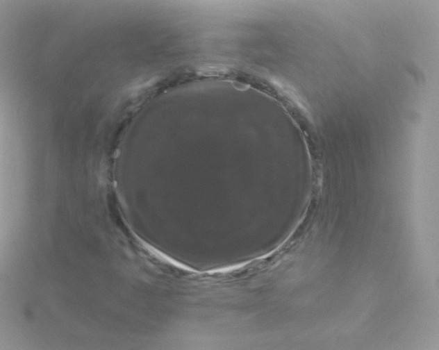 X0000115051445200911231143