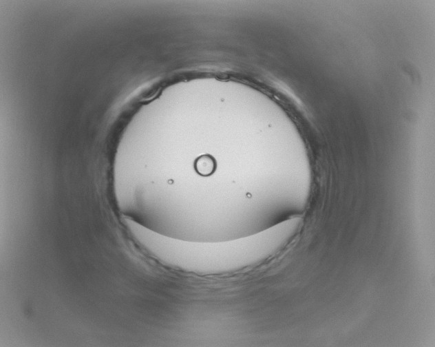 X0000115051448200911231143