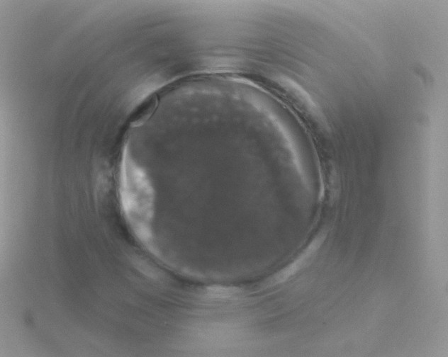 X0000115051449200911231143