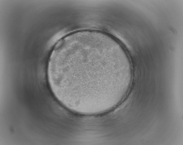 X0000115051455200911231143