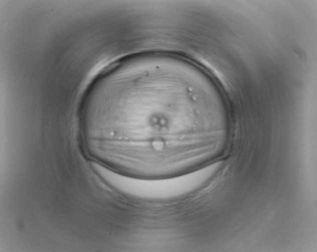 X0000115051459200911231143