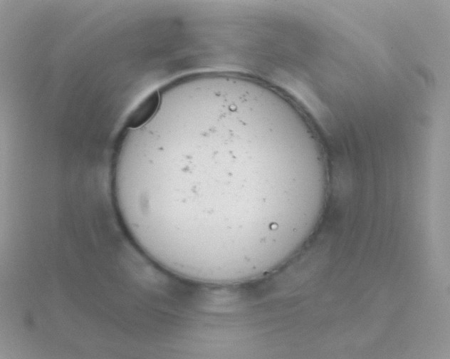 X0000115051460200911231143