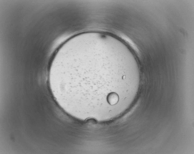 X0000115051461200911231143