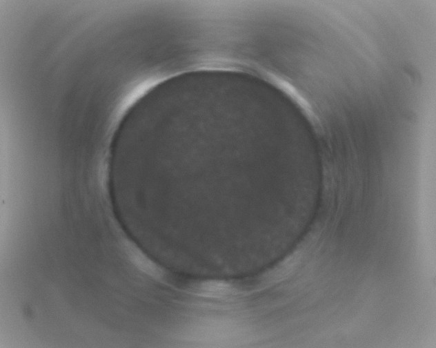 X0000115051463200911231143