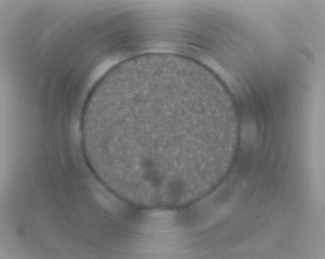 X0000115051466200911231143