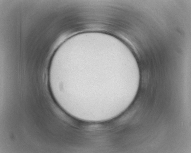 X0000115051467200911231143