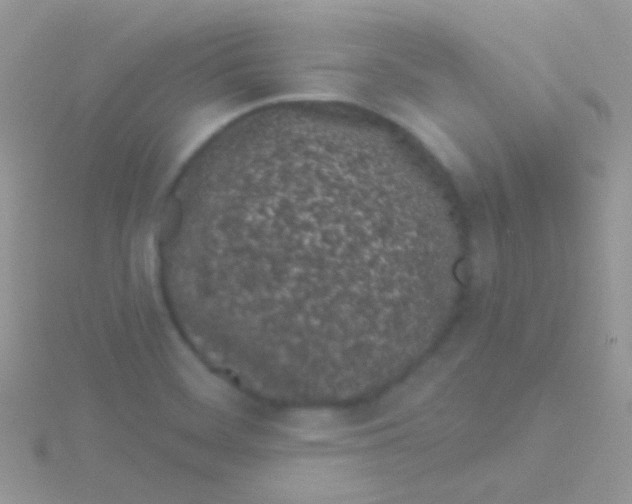 X0000115051468200911231143