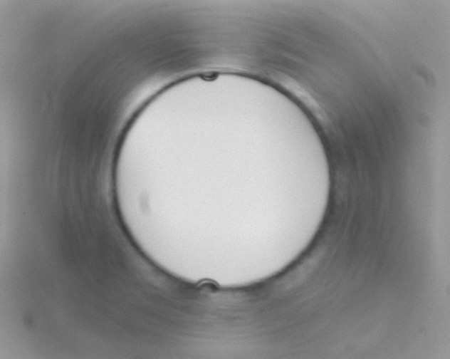 X0000115051469200911231143