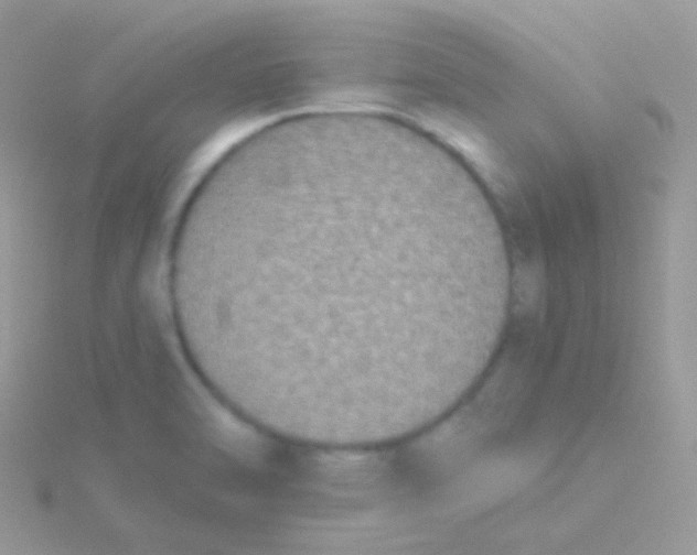 X0000115051470200911231143