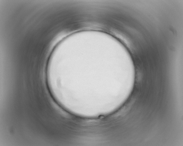 X0000115051471200911231143