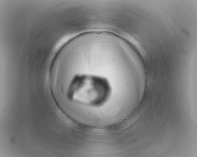 X0000115051472200911231143