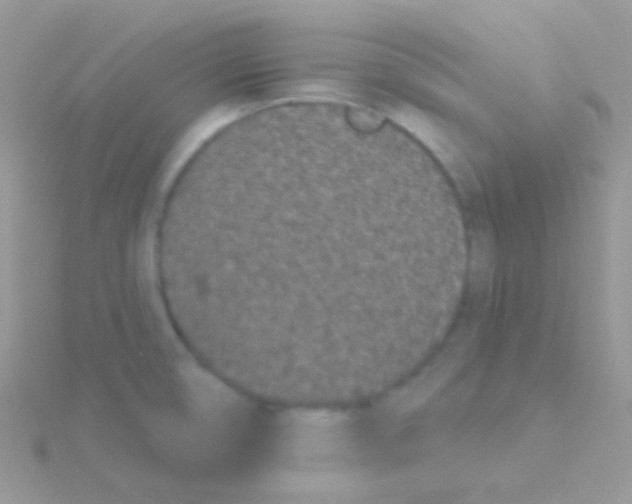 X0000115051474200911231143