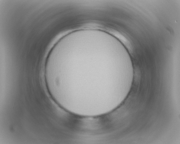 X0000115051478200911231143