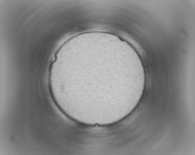 X0000115051479200911231143