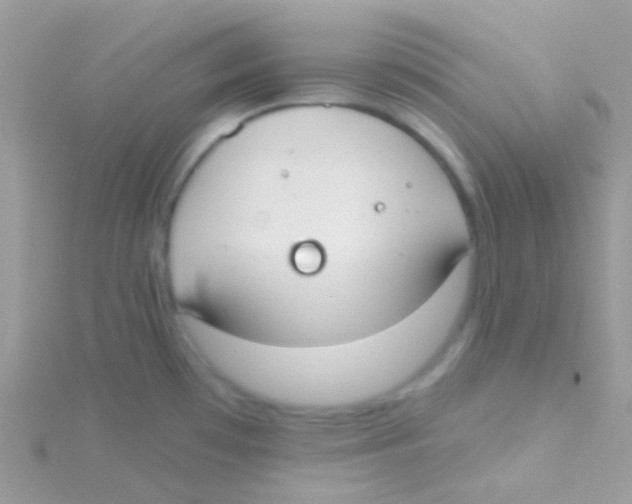 X0000115051481200911231143