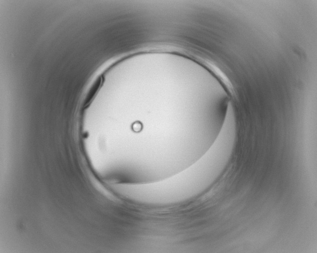 X0000115051484200911231143