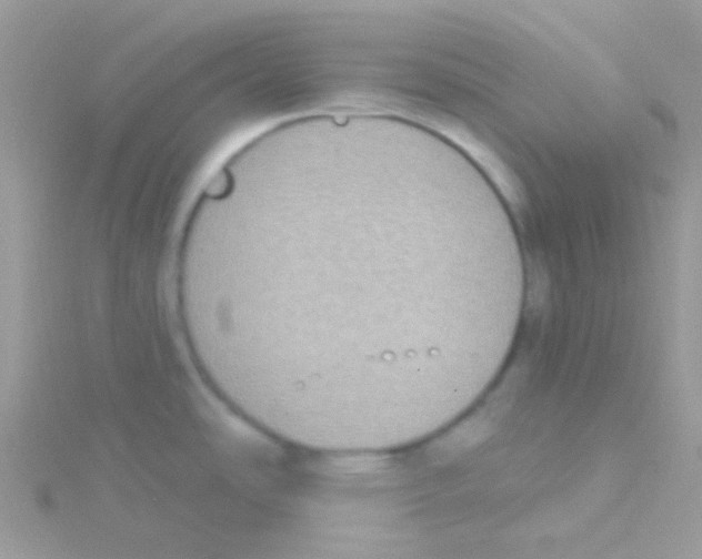 X0000115051486200911231143