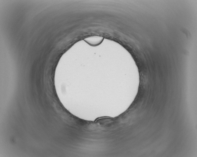 X0000115051489200911231142