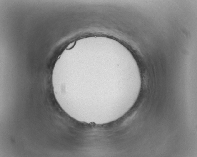 X0000115051494200911231142