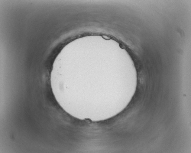 X0000115051495200911231142