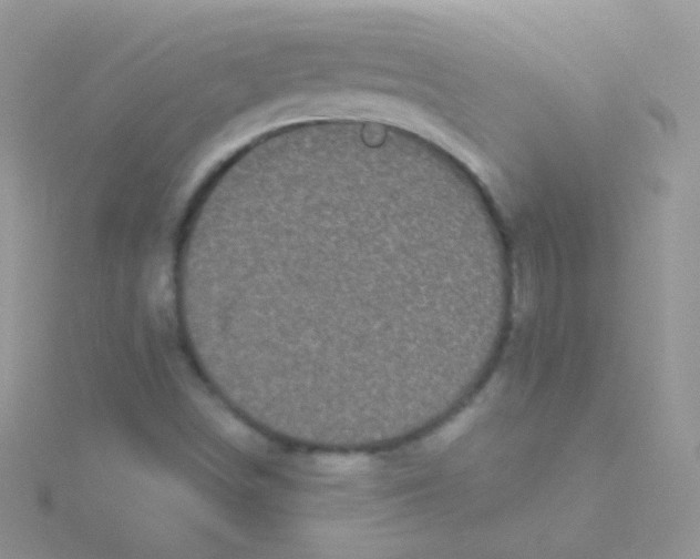 X0000115051498200911231142