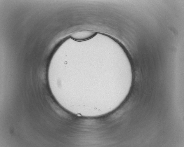 X0000115051499200911231142