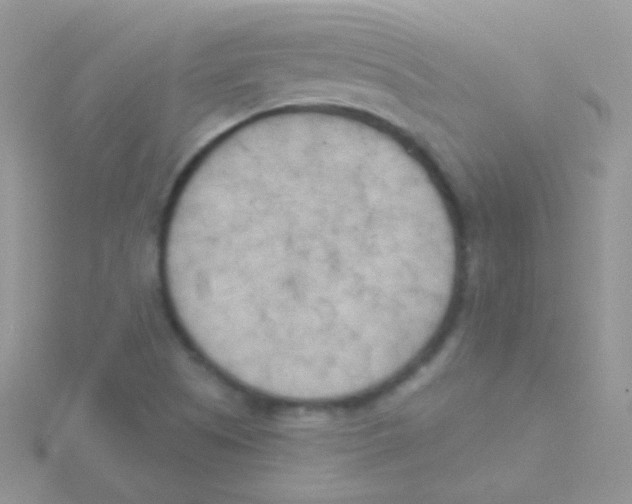 X0000115051505200911231142