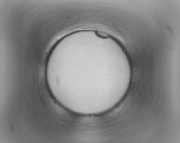 X0000115051506200911231142