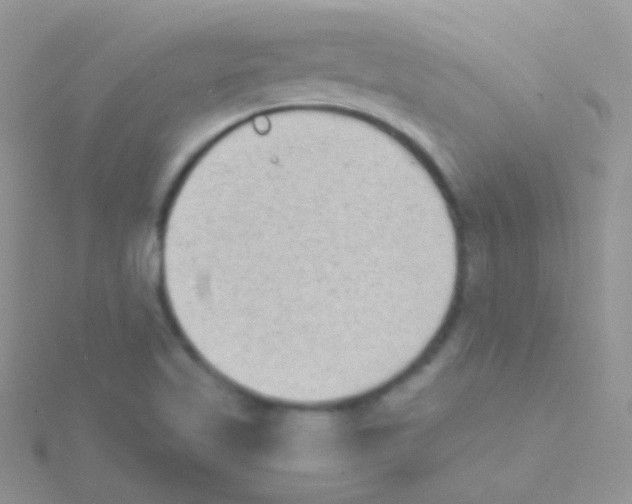 X0000115051509200911231142