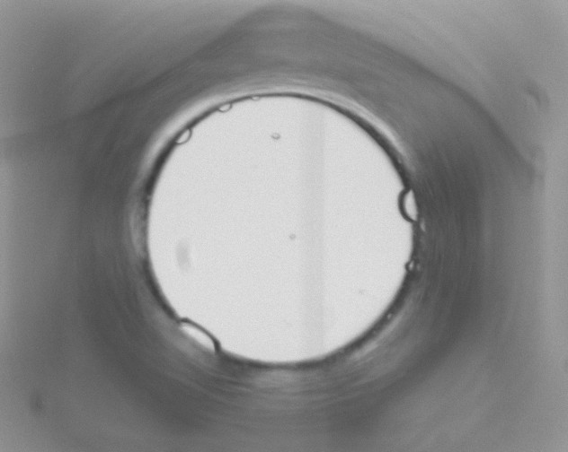 X0000115051510200911231142