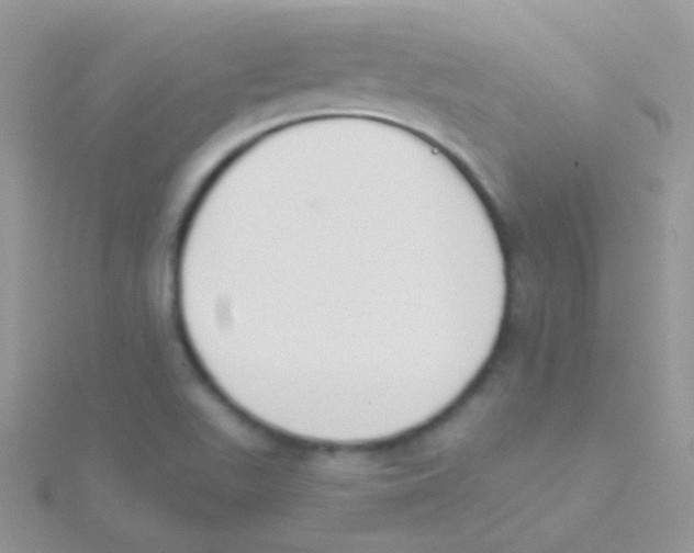 X0000115051511200911231142