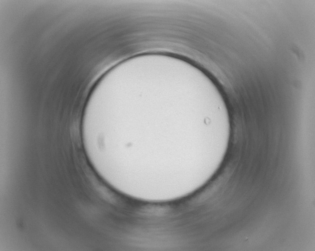 X0000115051513200911231142