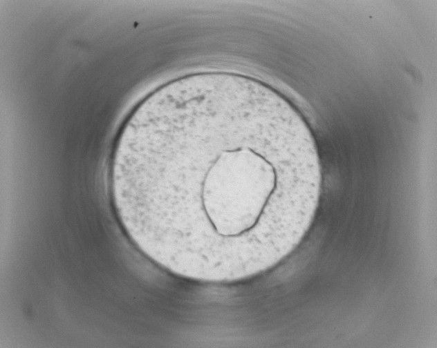 X0000115051514200911231142