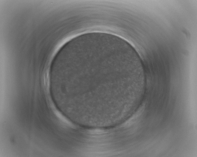 X0000115051515200911231142